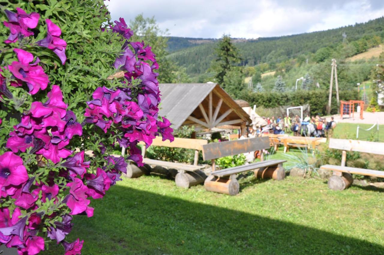 Sowia Grapa Walim Gory Sowie Rzeczka Esterno foto